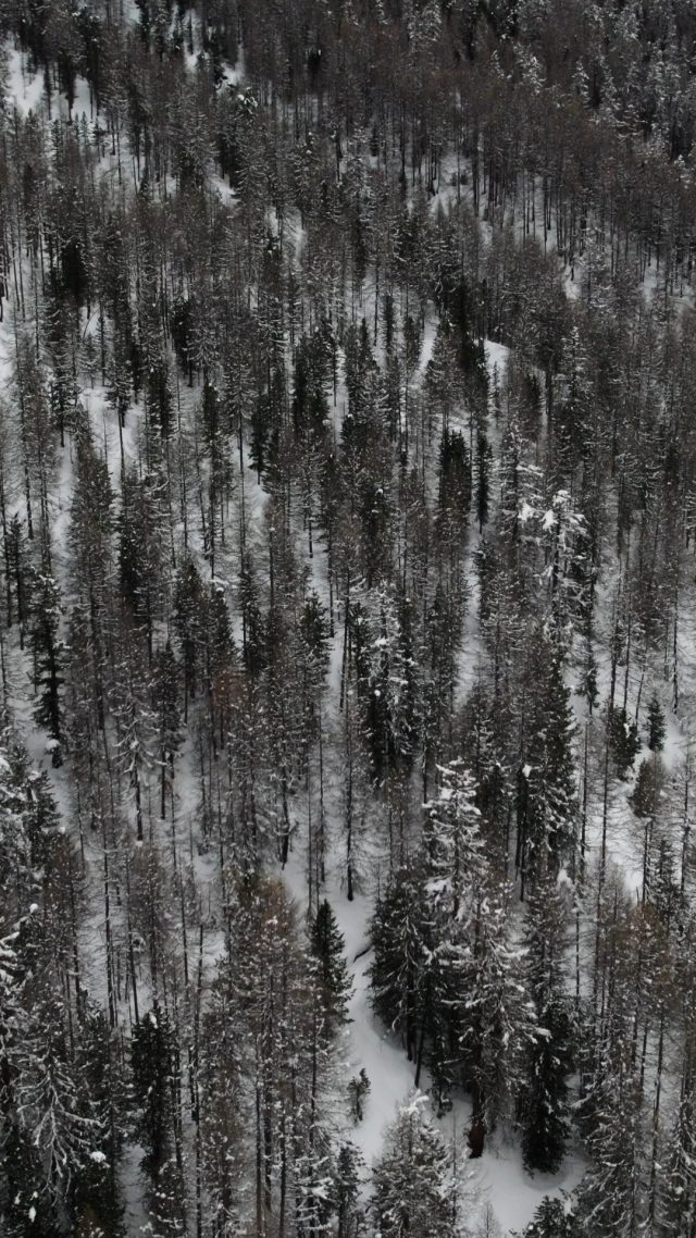 🇮🇹 Neve, ghiaccio e montaggi reali, uno dopo l’altro.
In questo reel trovi una raccolta di momenti dai nostri test invernali: diversi sistemi di montaggio, dettagli tecnici e paesaggi che mostrano quanto le condizioni possano cambiare in pochi metri.

👇 Guarda il reel e salvalo per quando ti servirà.

🇬🇧 Snow, ice and real mounting tests, one after another.
This reel brings together moments from our winter testing: different mounting systems, technical close-ups and landscapes that show how conditions can change in just a few meters.

👇 Watch the reel and save it for later.

#konigchains #konig #wintertesting #snowseason #winterready #winterdriving #iceroads #snowroads #drivesafe #tractionmatters #carcaretips #mountingsystems #wintergear