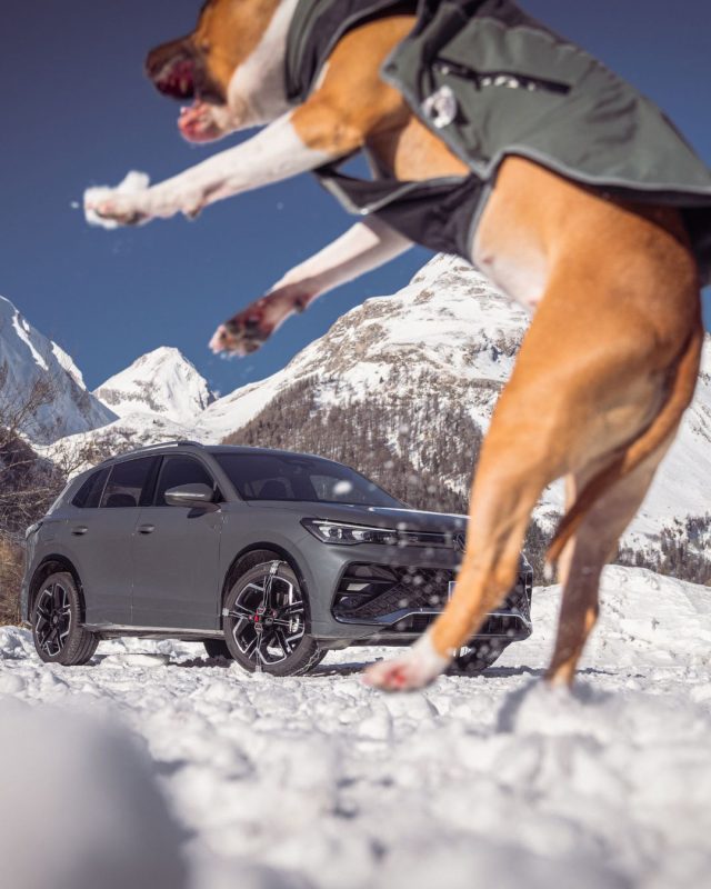 🇮🇹 Doveva essere una passeggiata tranquilla.
Poi qualcuno ha visto la neve. 🐾

🇬🇧 It was supposed to be a quiet walk.
Then someone saw the snow. 🐾

#konigchain #konigsnowchains #snowroads #mountainlife #outdooradventures #wintermoments #family