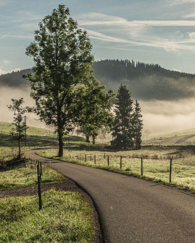 🇮🇹 Nella Foresta Nera il paesaggio cambia chilometro dopo chilometro.
Tra una curva e l'altra, il silenzio diventa parte del viaggio 🌲🚗

🇬🇧 In the Black Forest the landscape changes, mile after mile.
From one bend to the next, silence becames part of the journey🌲🚗

#Konig #KonigChain #BlackForest #RoadTrip #ScenicDrive #ForestRoads #IntoTheWoods #NatureEscape #TravelByCar #DriveYourWay