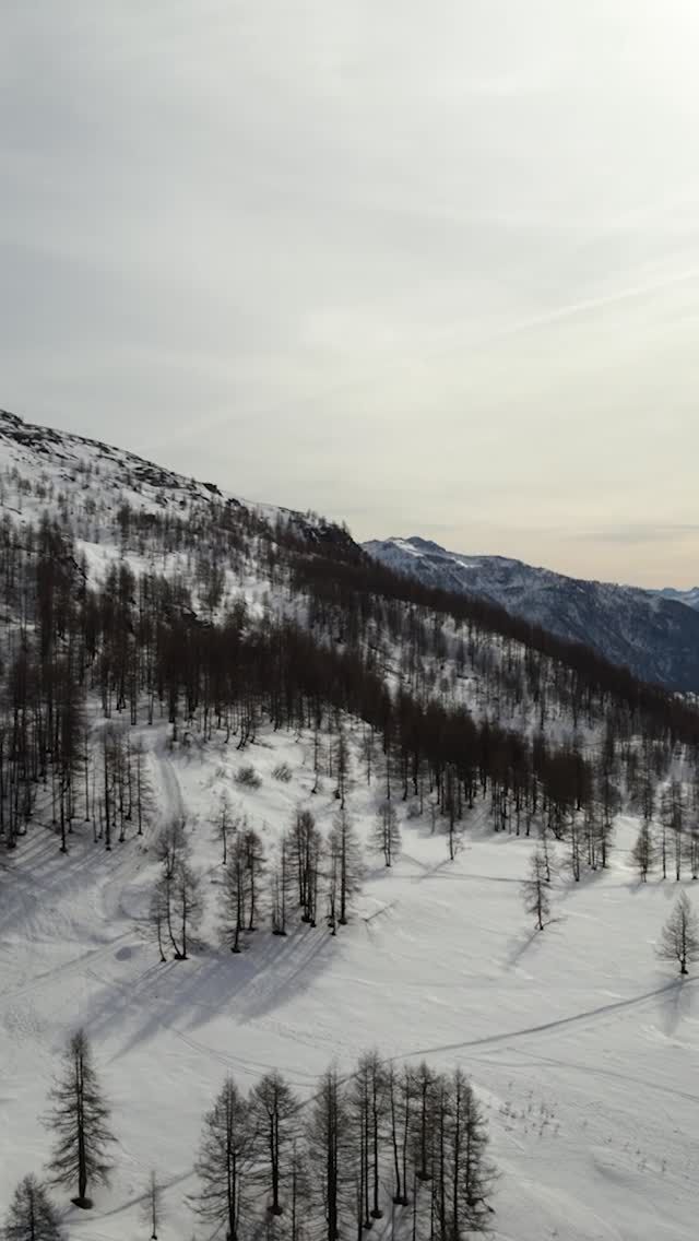 🇮🇹 Paesaggi diversi, mezzi diversi, condizioni diverse. ❄️
La nostra risposta è sempre la stessa: far arrivare le persone dove vogliono.
Quando vogliono.
Con chi vogliono. 🐕

🇬🇧 Different landscapes, different vehicles, different conditions. ❄️
Our answer is always the same: getting people where they want to be.
Whenever they need to.
With whoever they choose. 🐕

#KonigSnowChains #CateneDaNeve #CateneKonig #KonigChains #WinterSeason #SnowDays #WinterRoads #DriveSafe
#ColdSeason #OnTheSnow #WinterDrive #MountainLife
#WinterPerformance