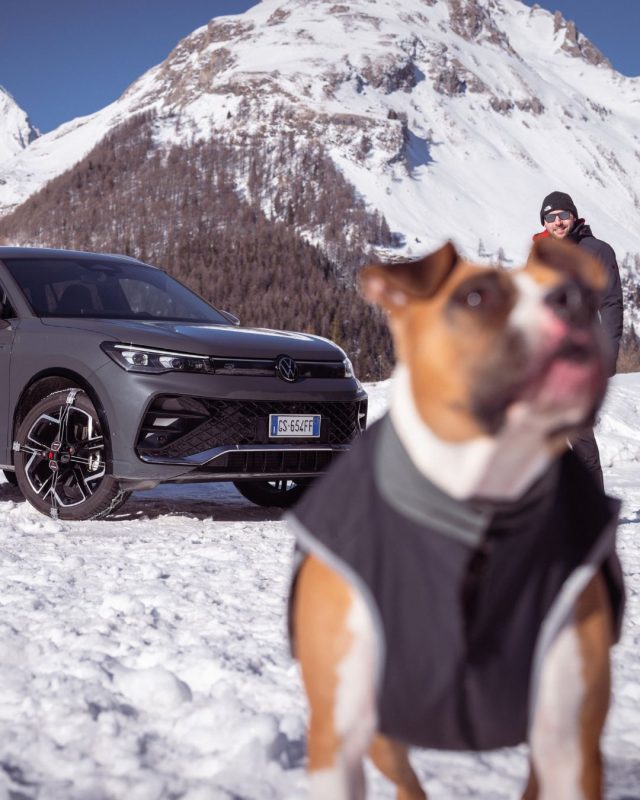 🇮🇹 Qualcuno non vede l&rsquo;ora di tornare a correre sulla neve 👀

🇬🇧 Someone can&rsquo;t wait to run in the snow again 👀

#K&ouml;nigSnowChains #SnowChains #WinterDriving #WinterAdventures