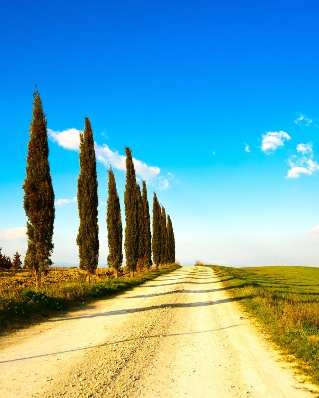 🇮🇹 La Val d'Orcia non ha bisogno di essere presentata, ma esplorata.
Curva dopo curva 🚗

🇬🇧 Val d'Orcia doesn't need an introduction. It needs to be explored.
One curve at a time 🚗

#Konig #RoadTrip #OnTheRoad #ScenicDrive #ExploreMore #Travel #ValdOrcia #Tuscany